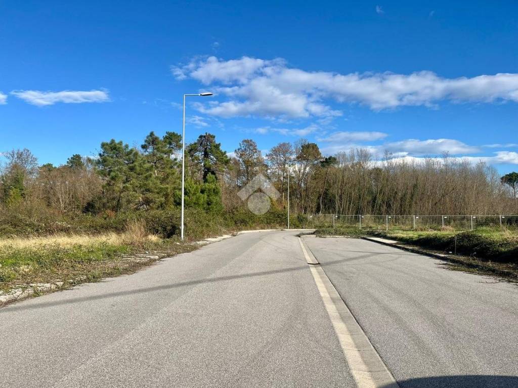 immagine annuncio 5 di 11