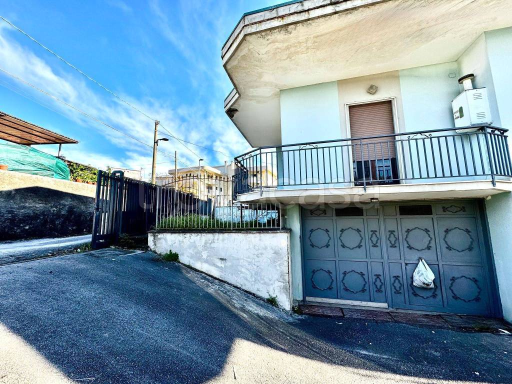 immagine annuncio 3 di 14