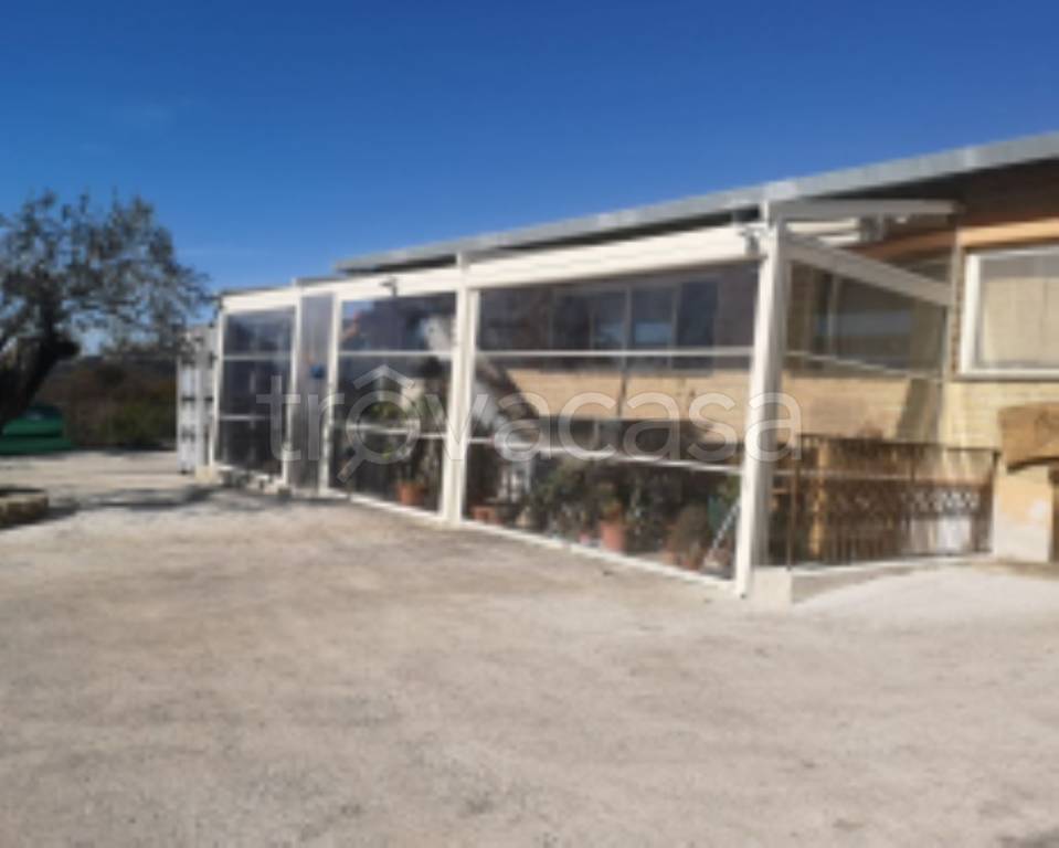 immagine annuncio 3 di 11