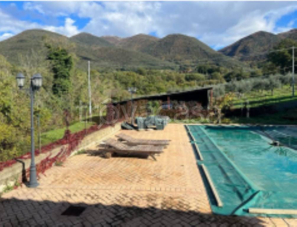 immagine annuncio 7 di 11