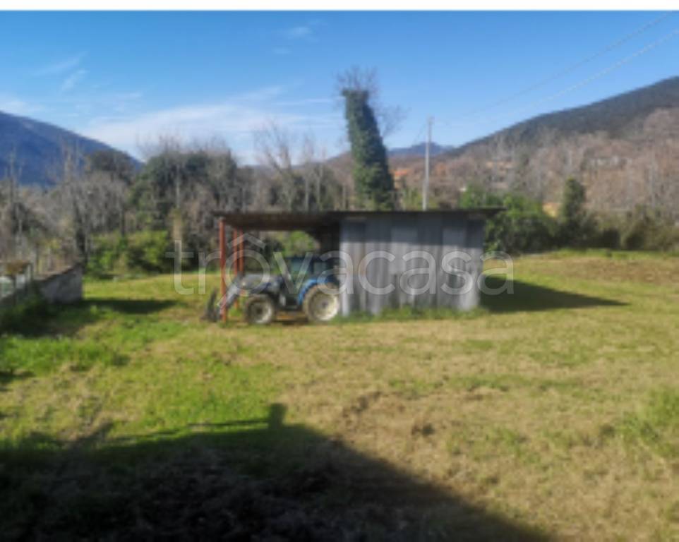 immagine annuncio 10 di 11