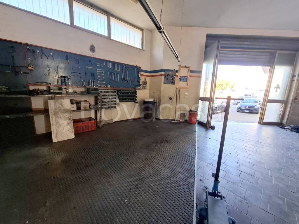 immagine annuncio 6 di 15