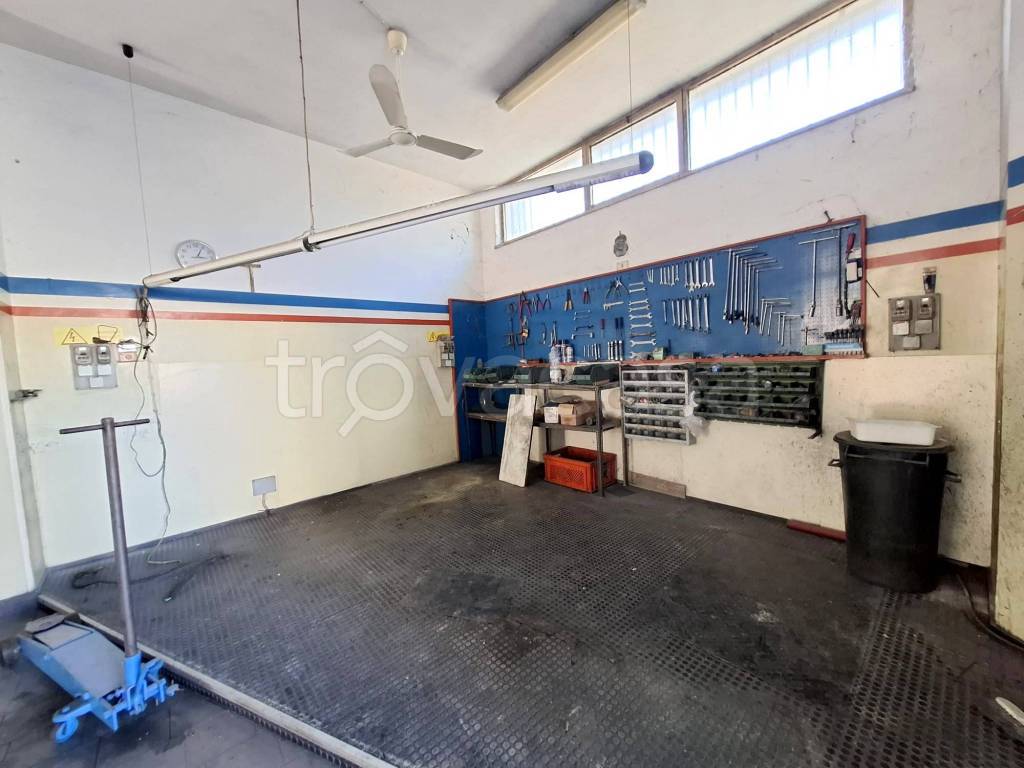 immagine annuncio 7 di 15