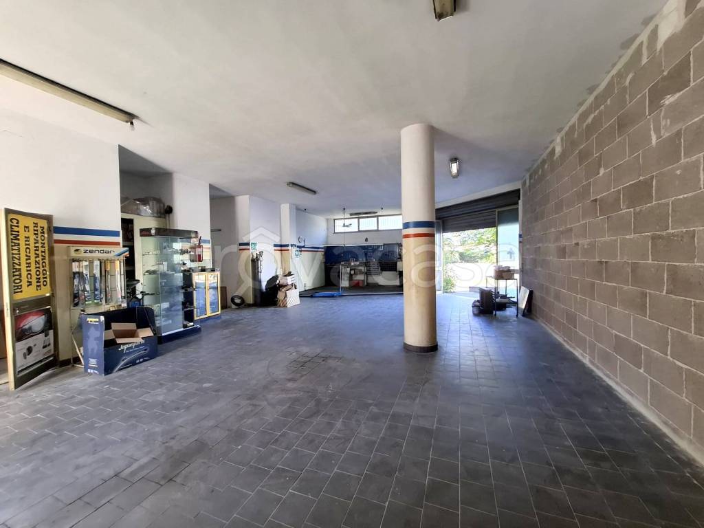 immagine annuncio 9 di 15