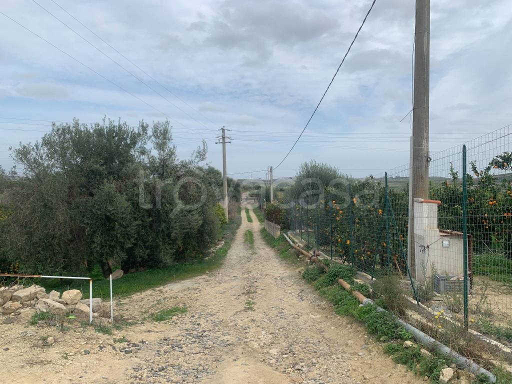 immagine annuncio 5 di 11