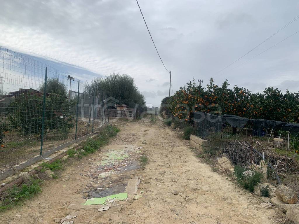 immagine annuncio 6 di 11