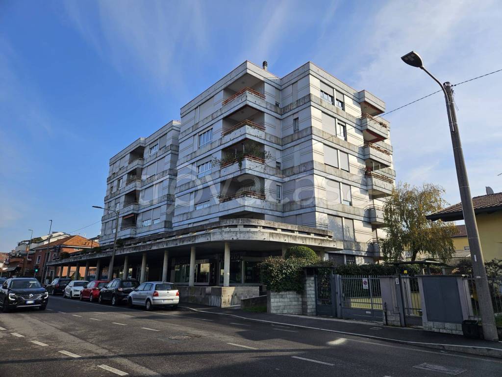 immagine annuncio 1 di 15