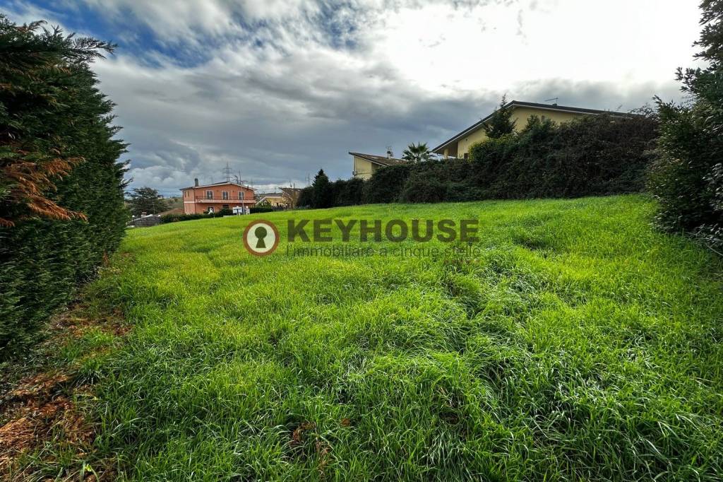 immagine annuncio 3 di 7