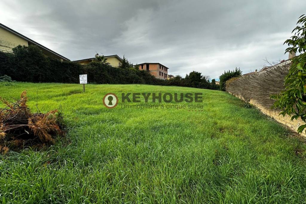 immagine annuncio 4 di 7