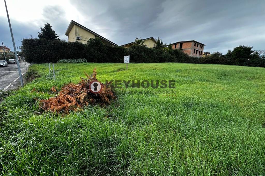 immagine annuncio 5 di 7