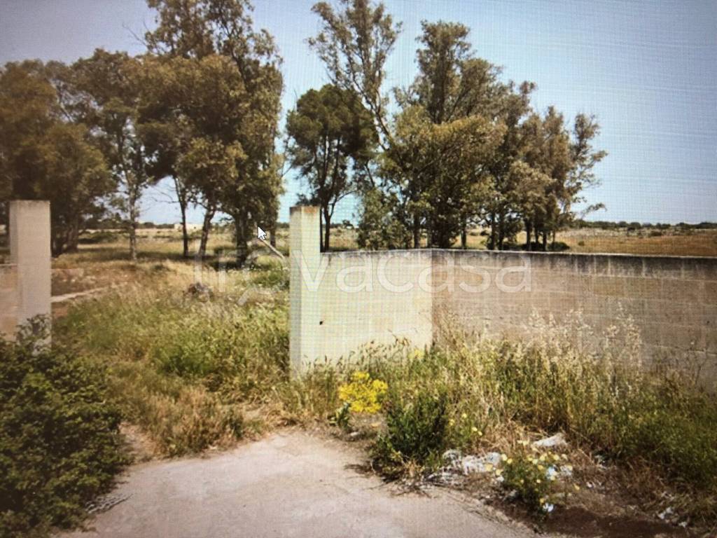 immagine annuncio 3 di 7