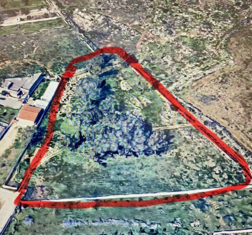 immagine annuncio 6 di 7