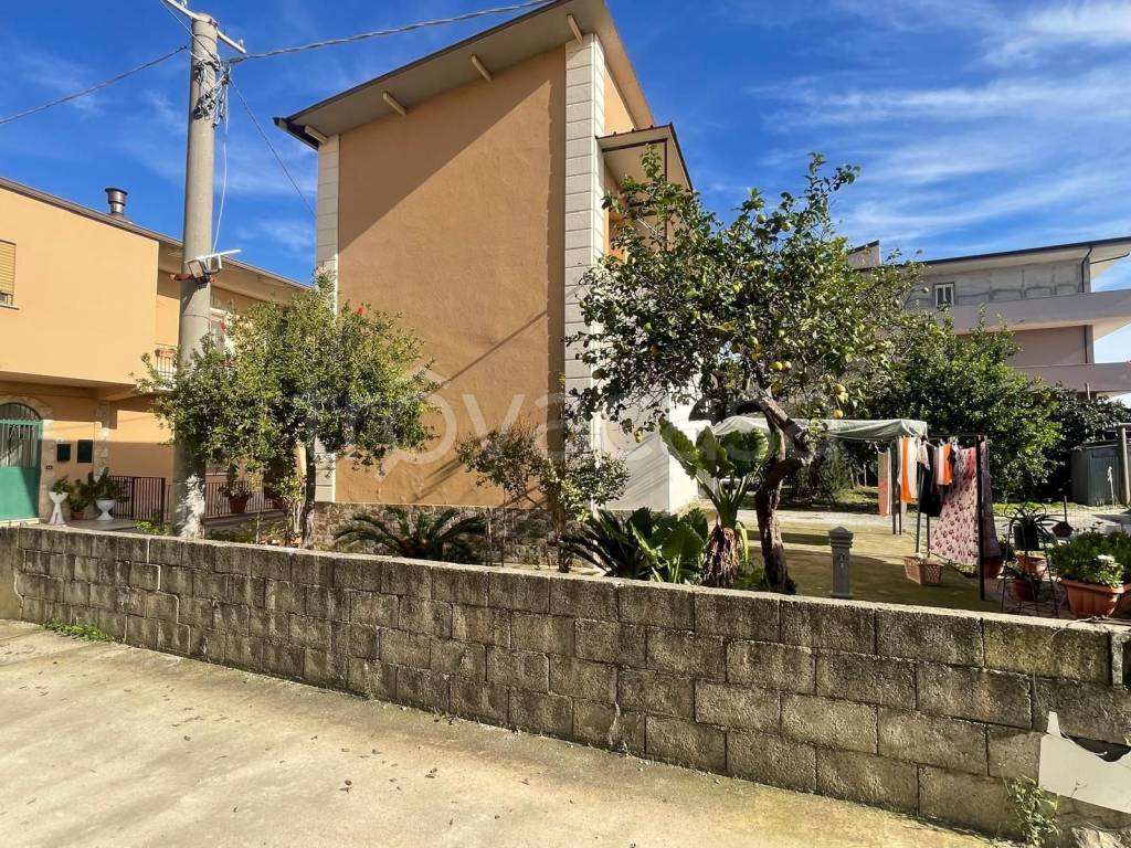 immagine annuncio 5 di 6