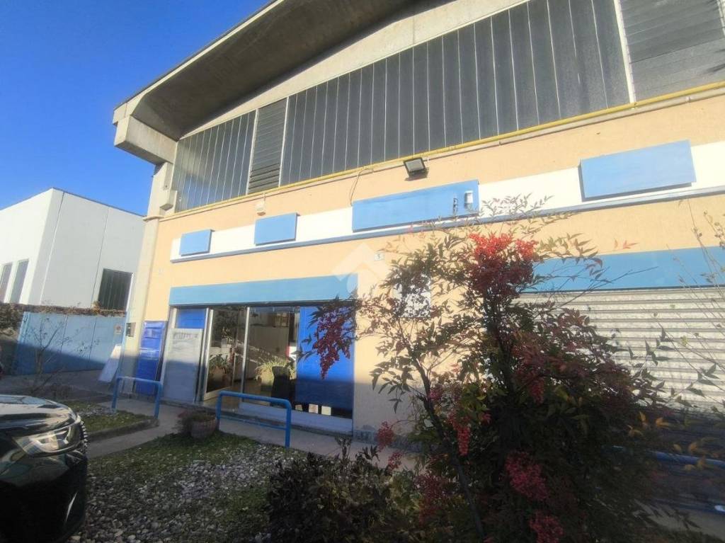 immagine annuncio 2 di 15