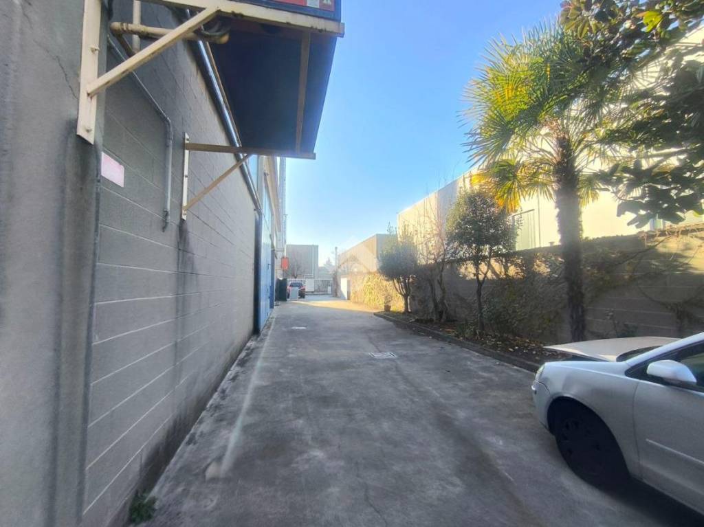 immagine annuncio 9 di 15