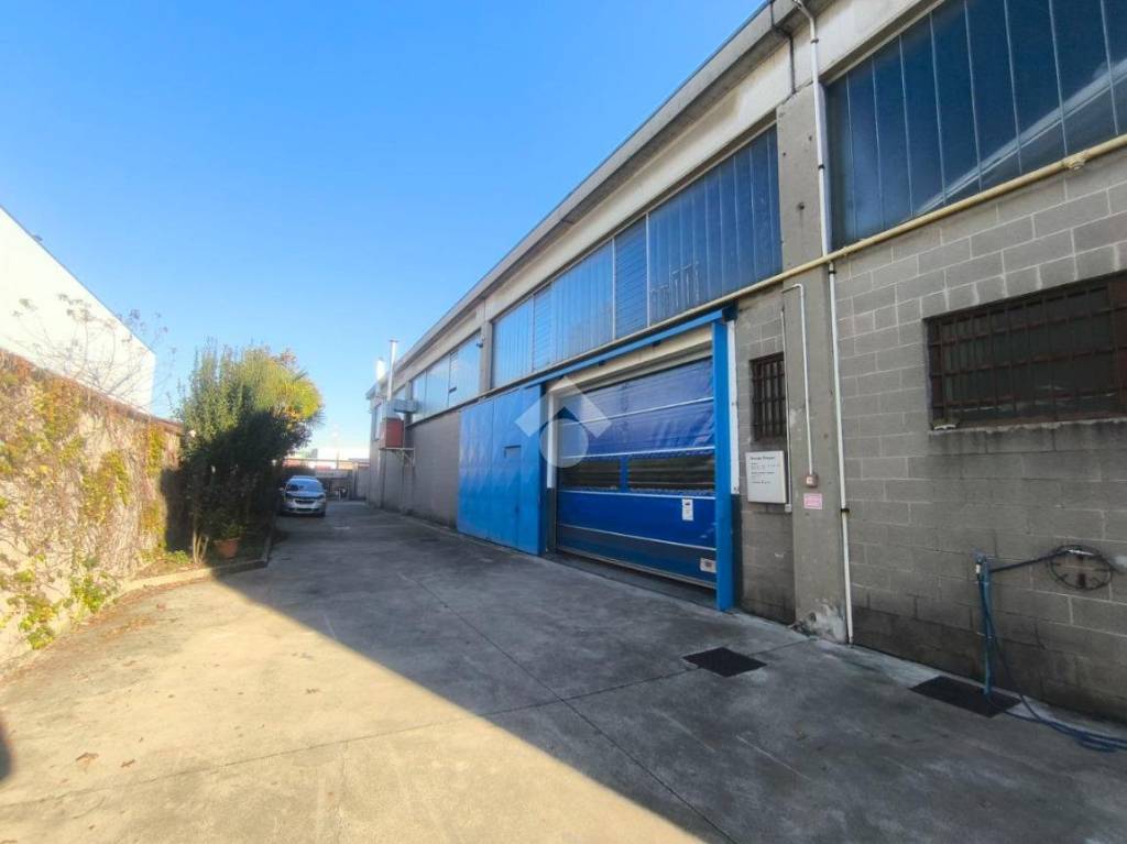 immagine annuncio 11 di 15