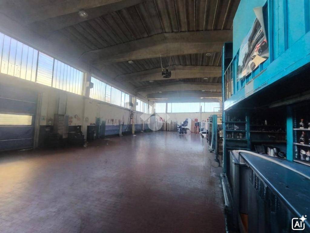 immagine annuncio 14 di 15