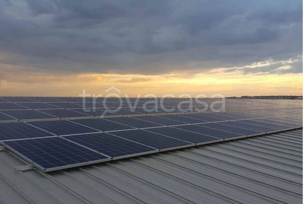 immagine annuncio 4 di 8