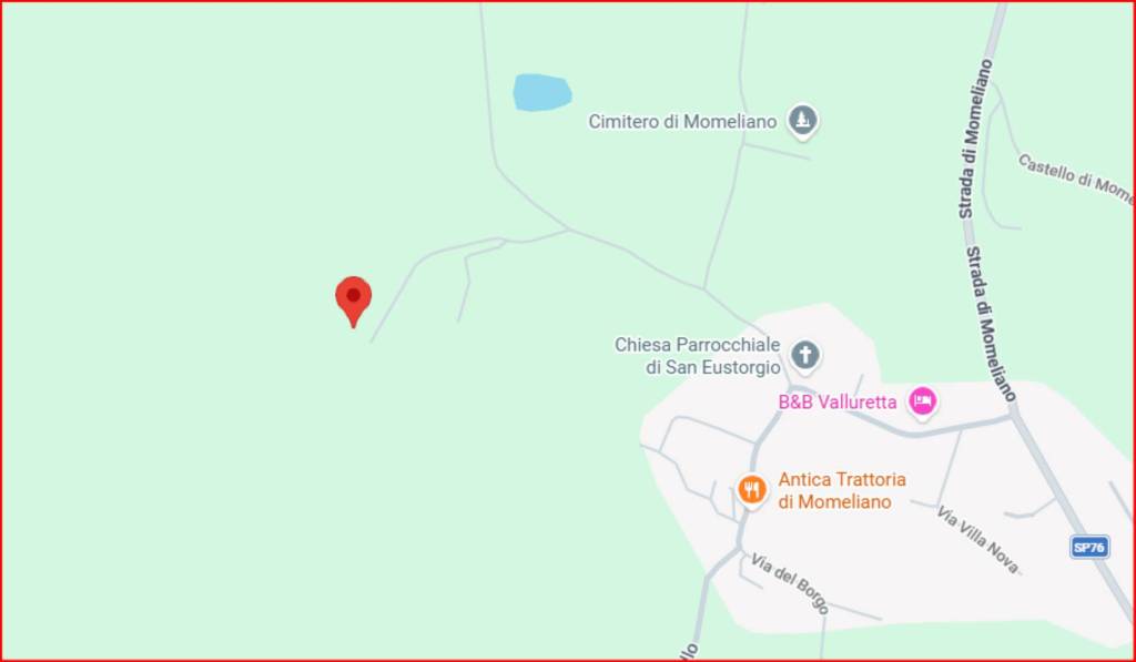 immagine annuncio 12 di 14