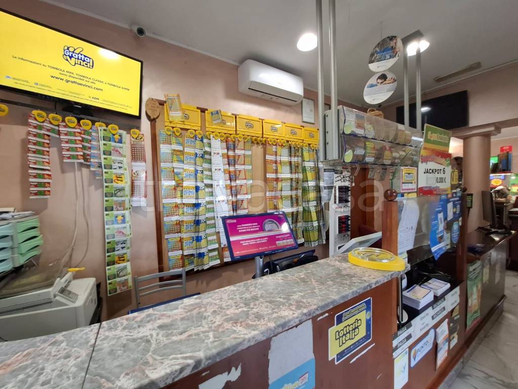 immagine annuncio 10 di 15