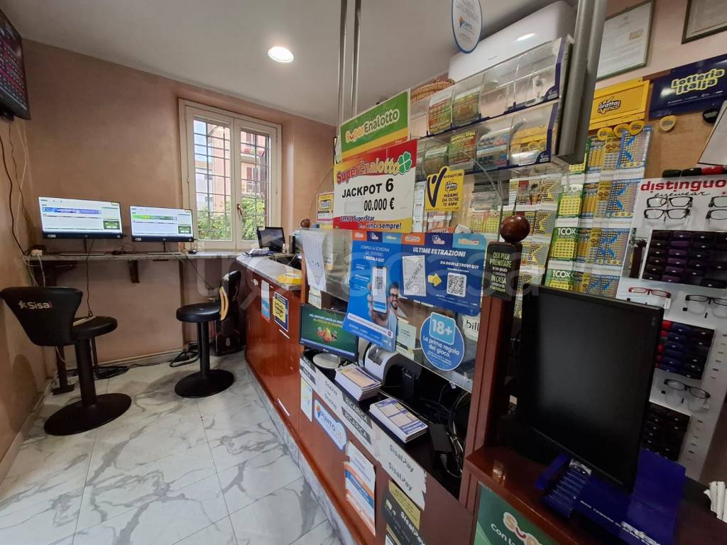 immagine annuncio 11 di 15