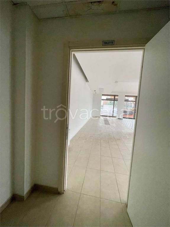 immagine annuncio 7 di 14