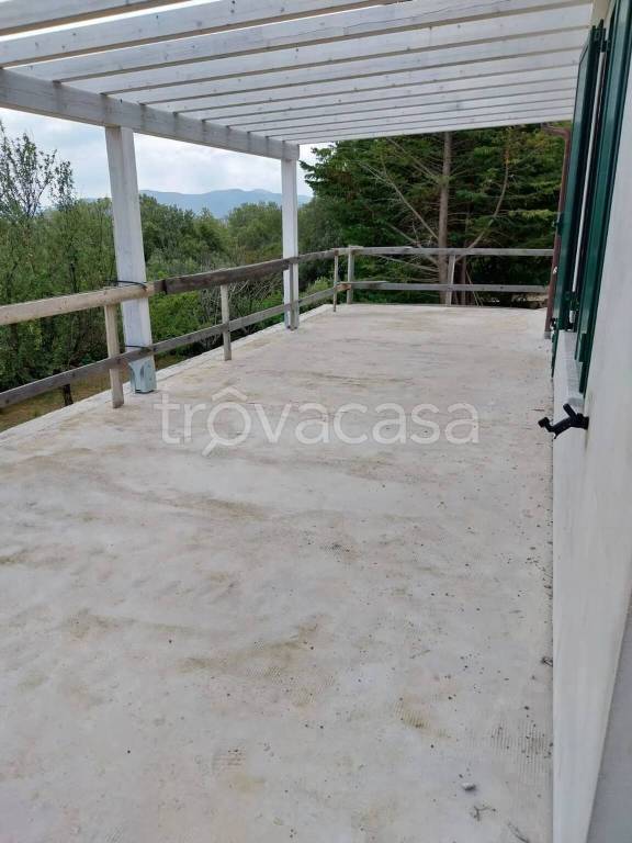 immagine annuncio 4 di 6