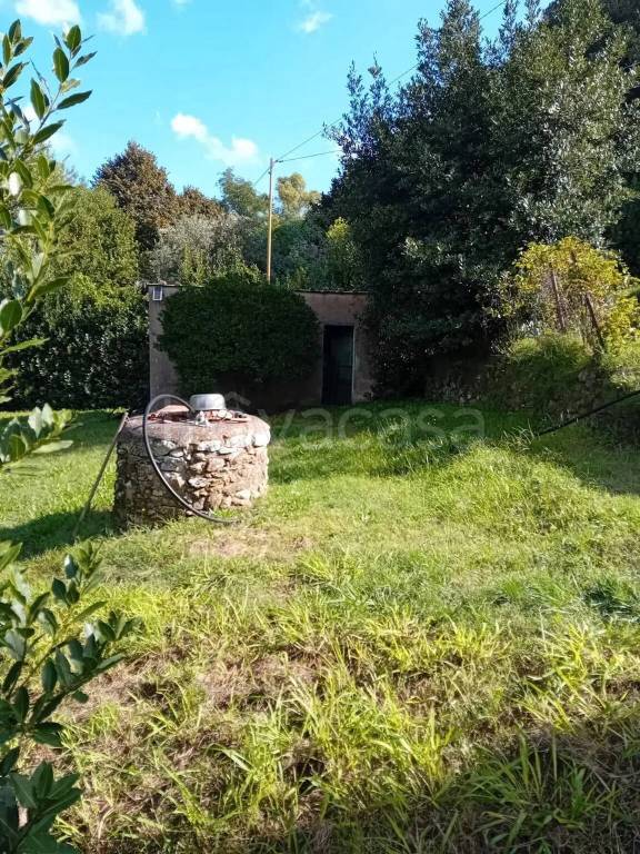 immagine annuncio 5 di 12