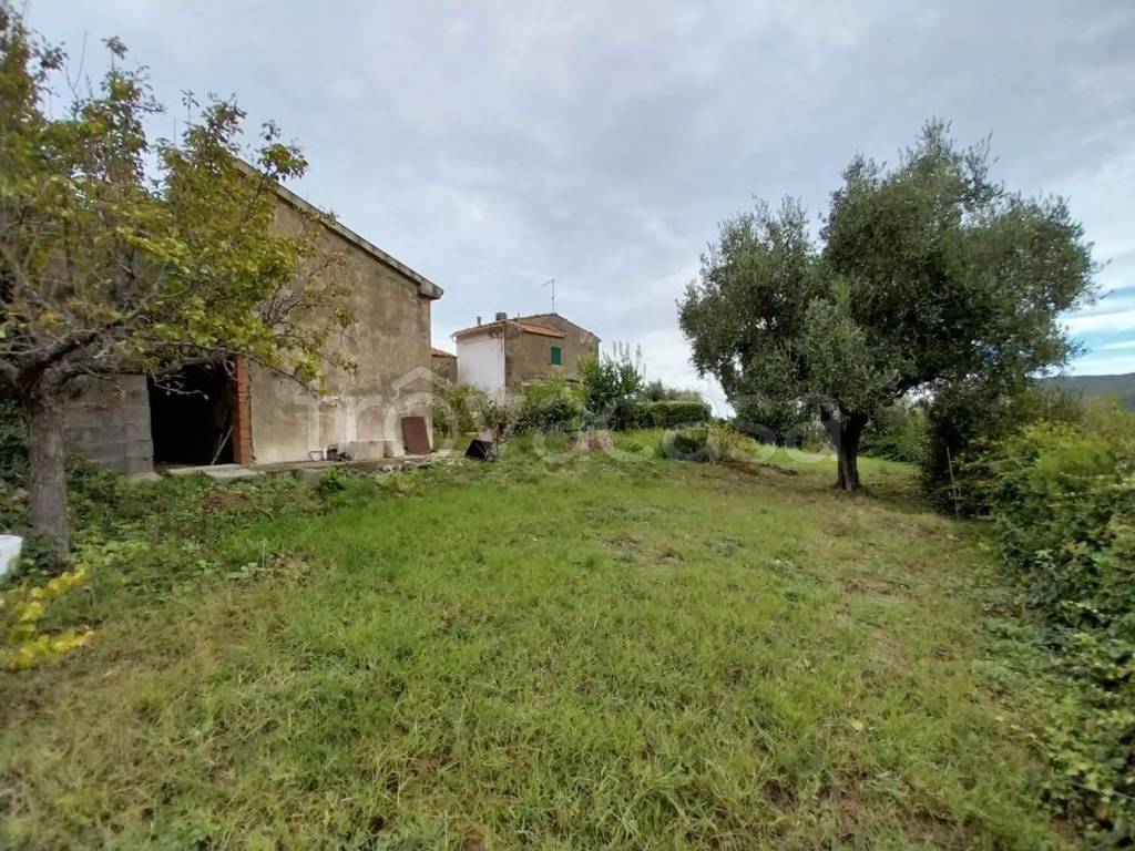 immagine annuncio 4 di 14