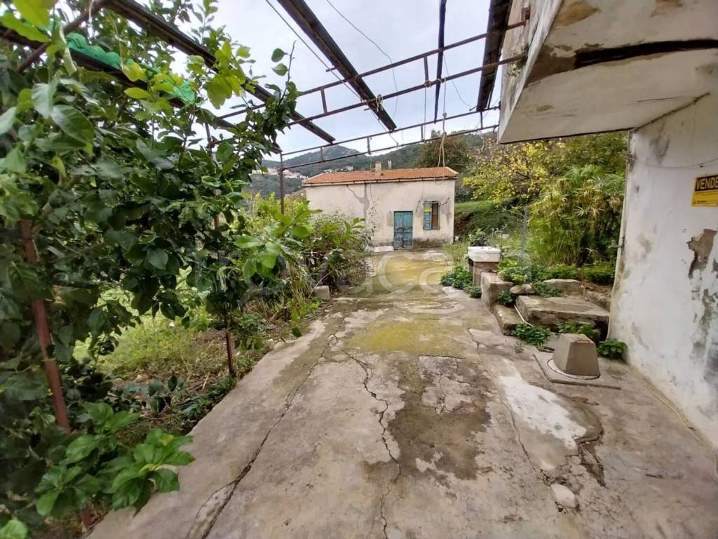 immagine annuncio 5 di 14