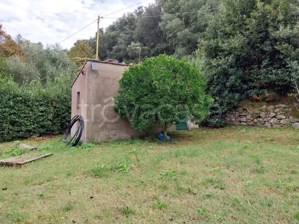 immagine annuncio 7 di 12