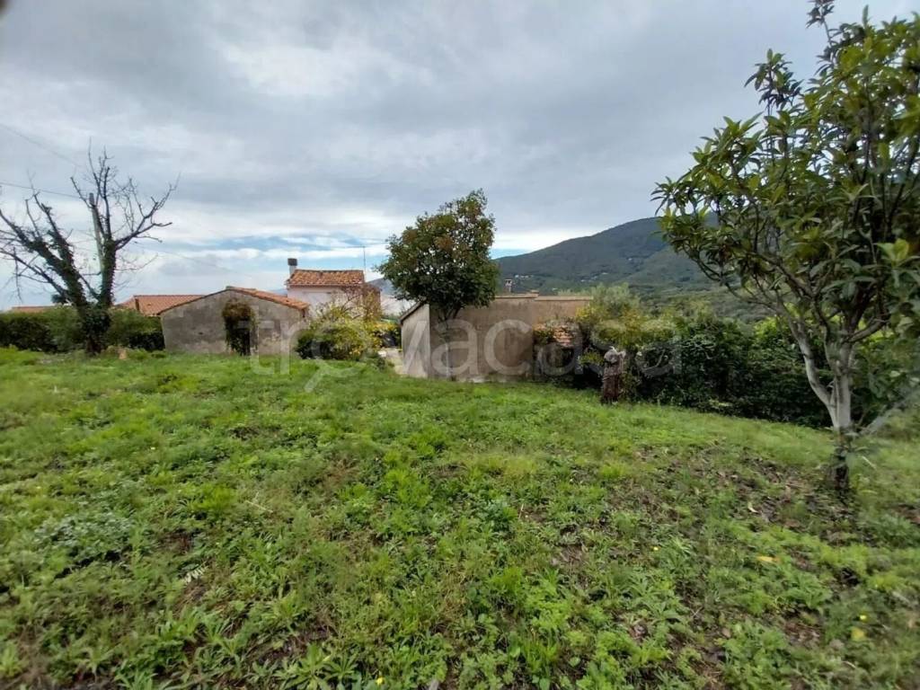 immagine annuncio 7 di 14