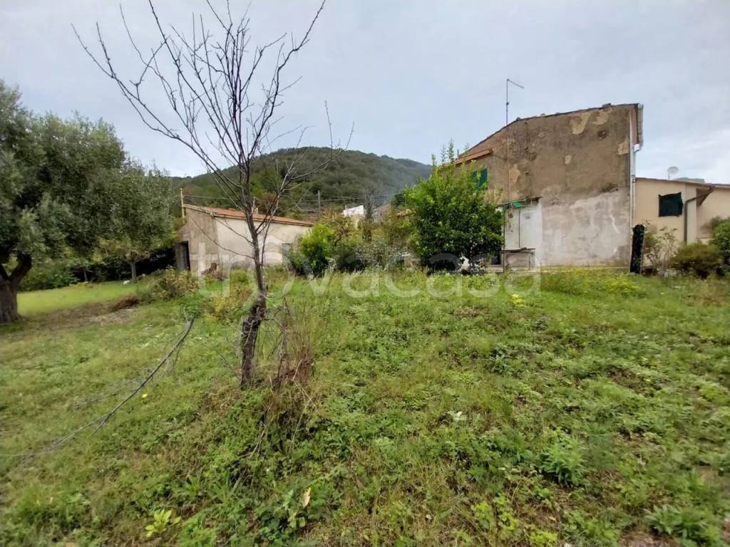 immagine annuncio 10 di 14