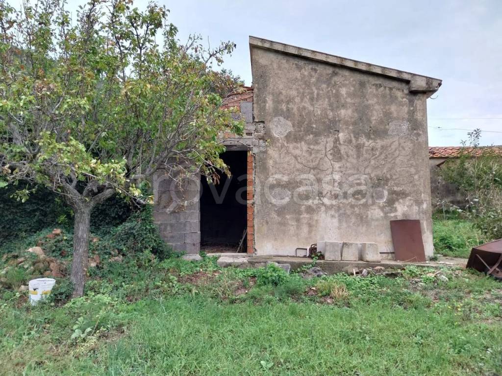 immagine annuncio 12 di 14