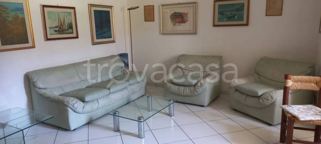 immagine annuncio 2 di 14