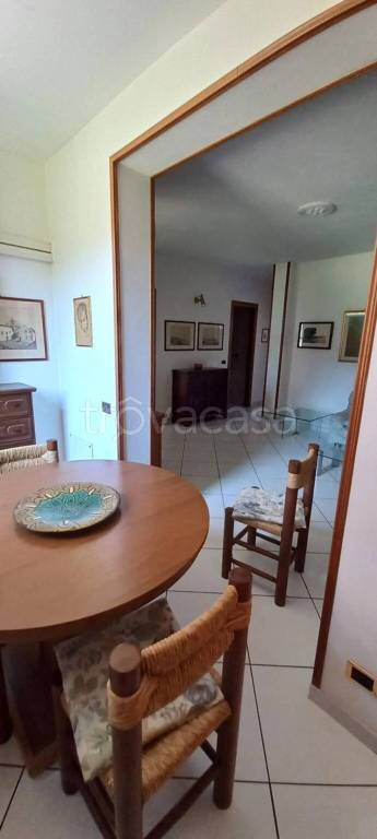 immagine annuncio 4 di 14