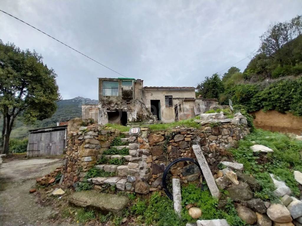 immagine annuncio 2 di 14