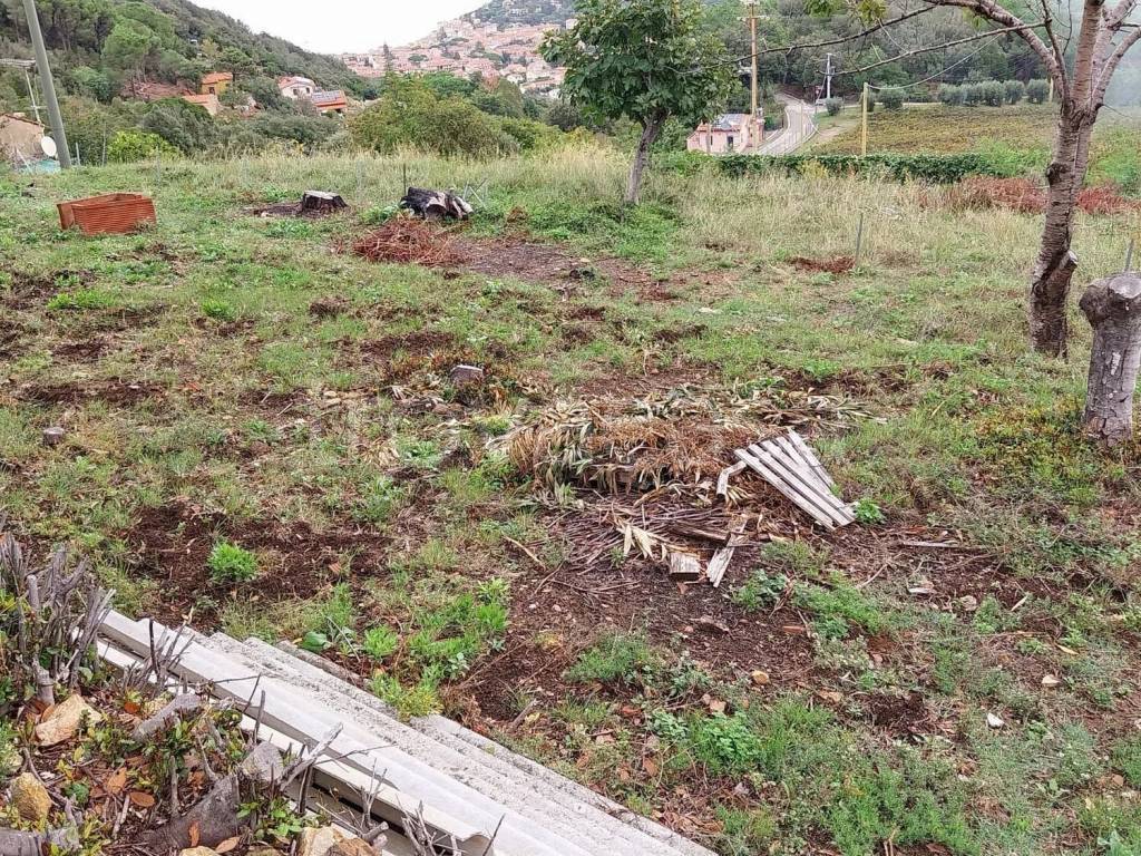 immagine annuncio 3 di 14