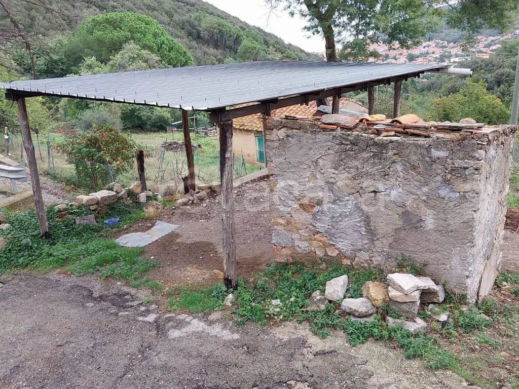 immagine annuncio 4 di 14