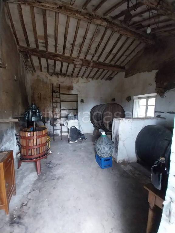 immagine annuncio 5 di 14