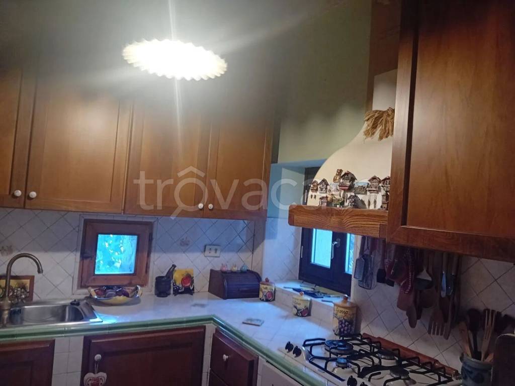 immagine annuncio 7 di 13