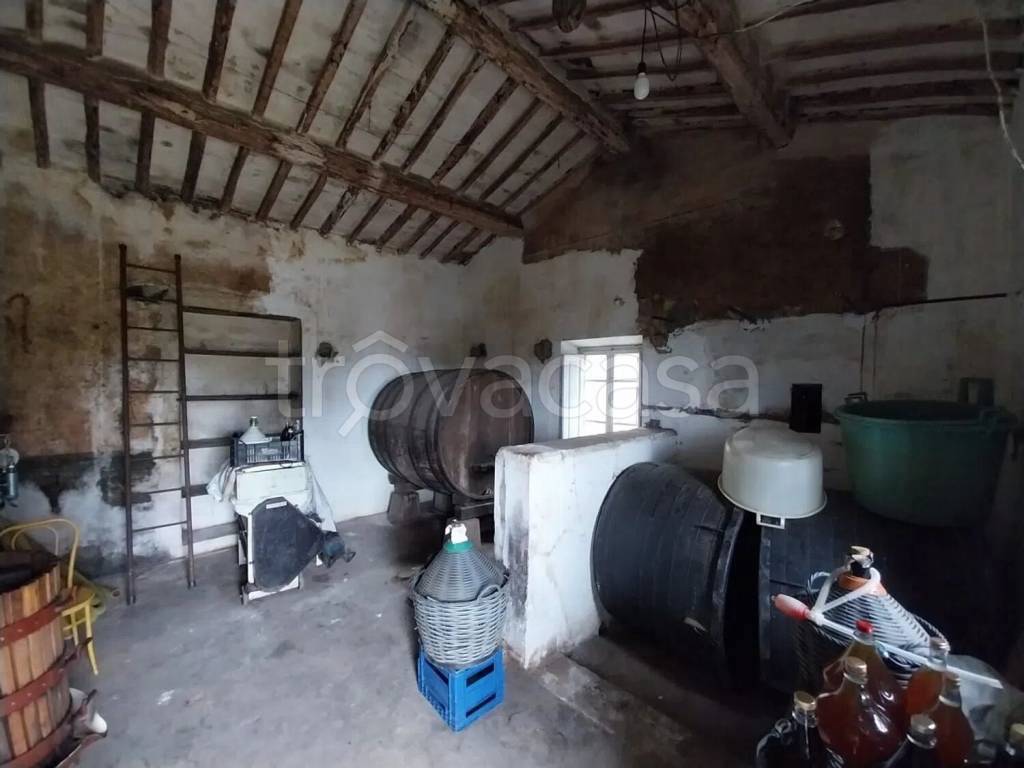 immagine annuncio 6 di 14