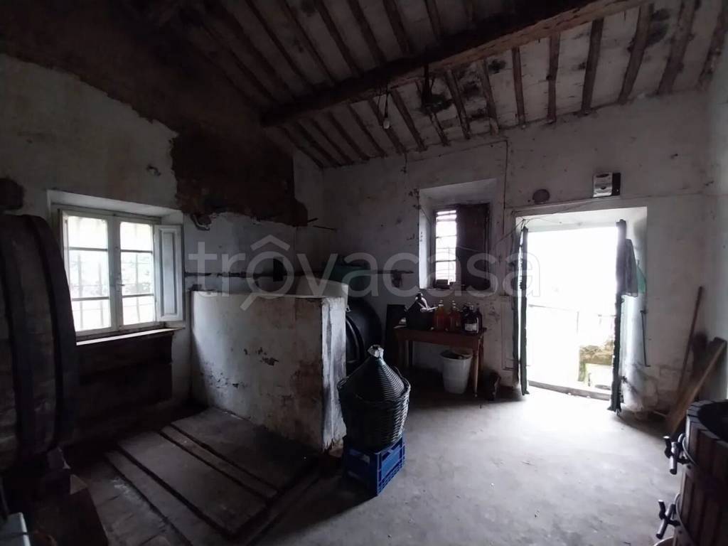 immagine annuncio 7 di 14