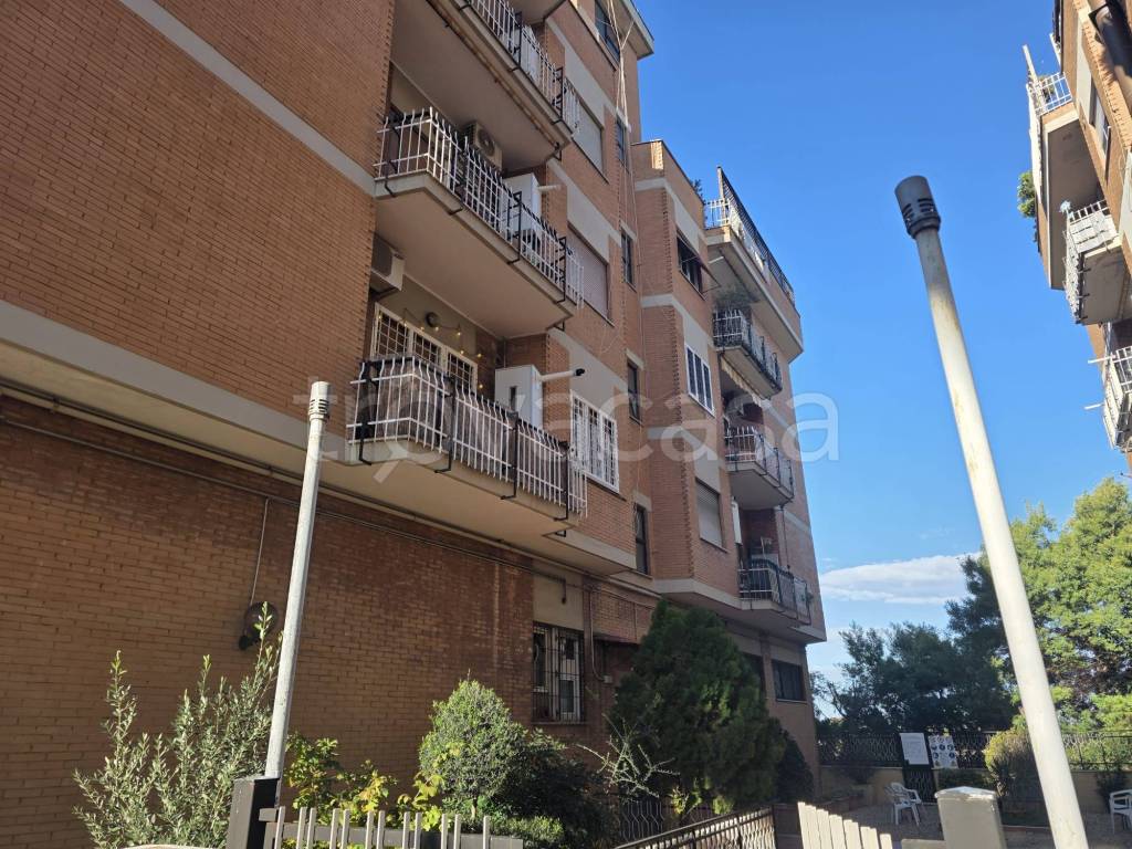 immagine annuncio 2 di 9