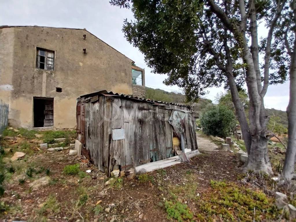 immagine annuncio 12 di 14