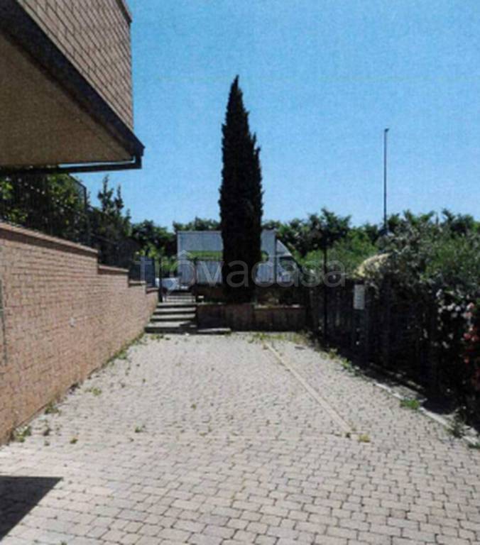 immagine annuncio 5 di 12