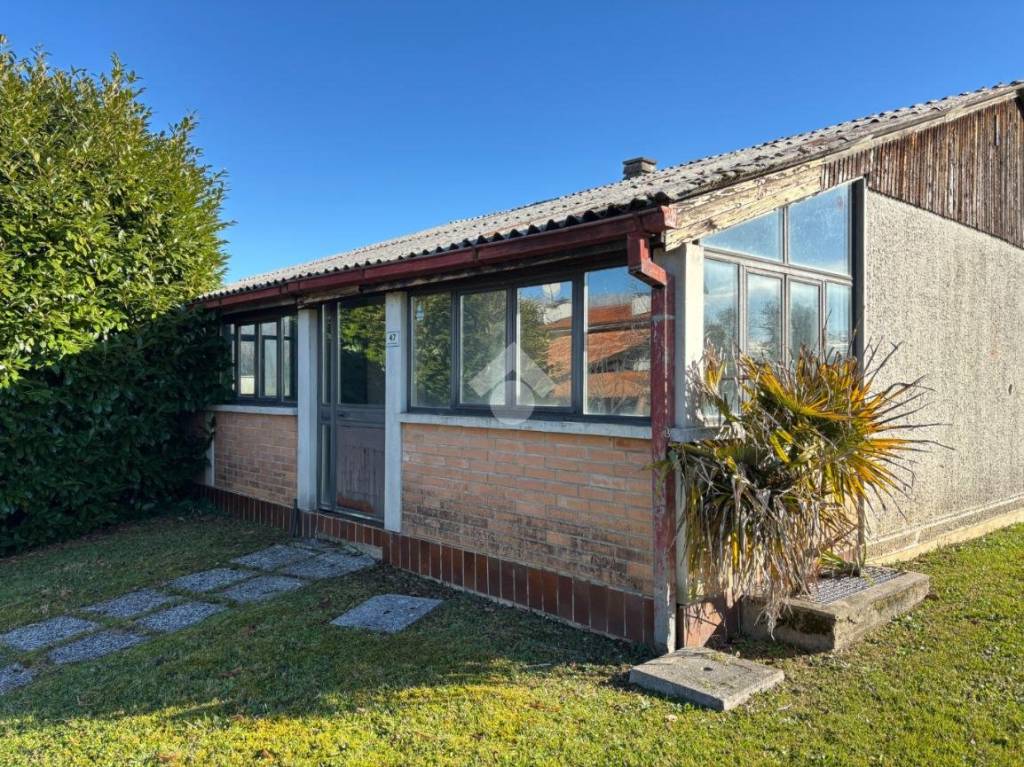 immagine annuncio 3 di 11