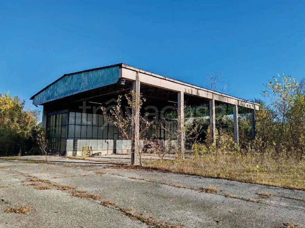 immagine annuncio 1 di 12