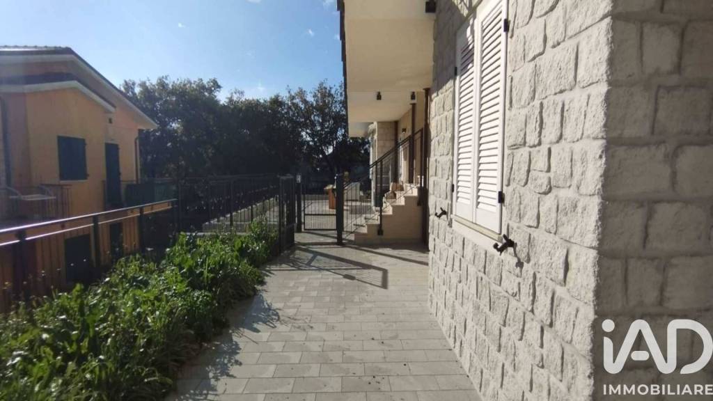 immagine annuncio 1 di 14