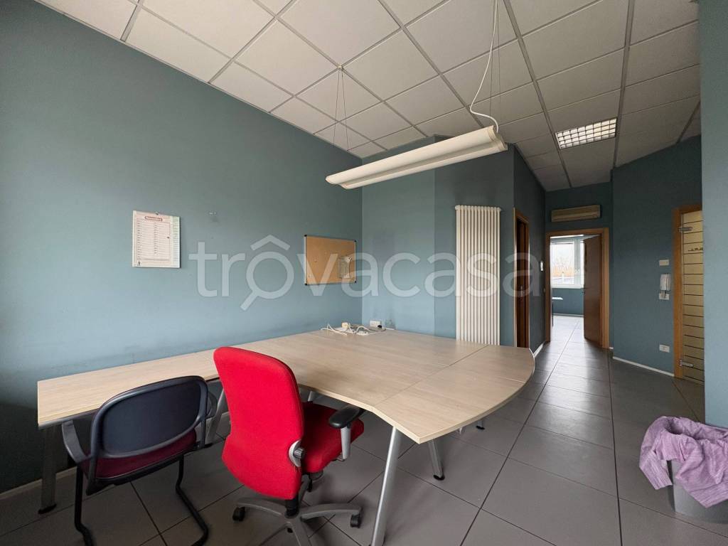 immagine annuncio 4 di 11